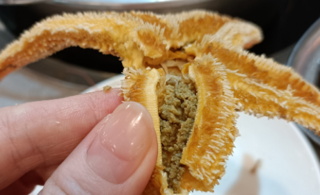 所有海星都可以吃吗