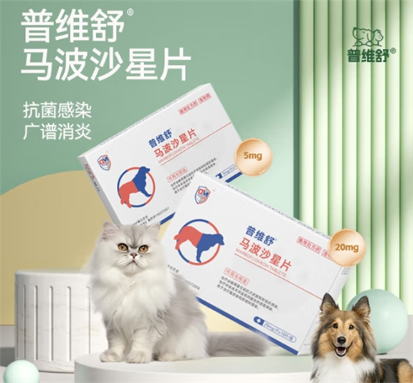 普维舒马波沙星片是消炎药吗