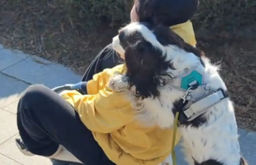 女子跟风买扭扭车让狗子拉自己,狗子却推着她往前走 女子跟风买扭扭车让狗子拉自己,狗子却推着她往前走