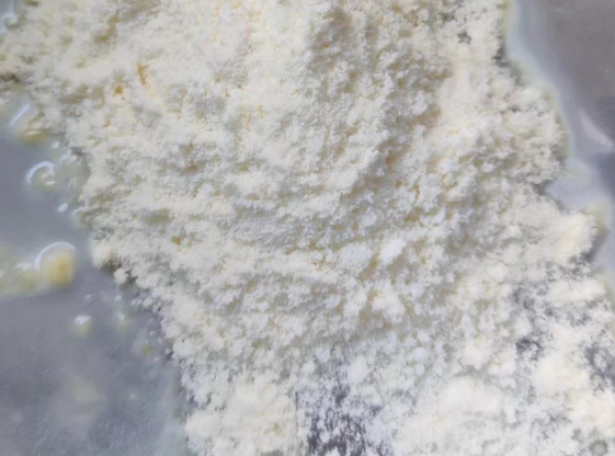 卫仕猫咪用羊奶粉——猫猫超喜欢 卫仕猫咪用羊奶粉——猫猫超喜欢