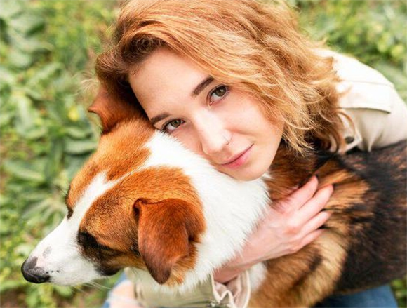 影响比格犬体重变化的因素 影响比格犬体重变化的因素