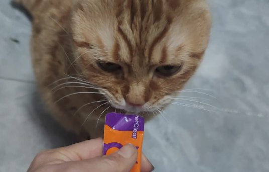 本元星猫咪禁情粉有什么危害