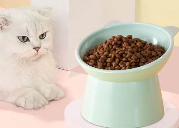 星恒梦猫碗什么颜色好 星恒梦猫碗什么颜色好