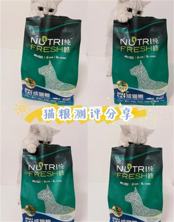 纯皓猫粮测评:国产猫粮的新选择 纯皓猫粮测评:国产猫粮的新选择