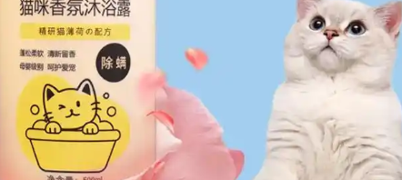 佰润晖猫咪沐浴露多少钱