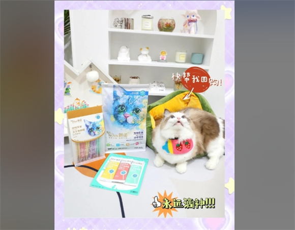 朗诺:宠物主人的首选品牌 朗诺:宠物主人的首选品牌