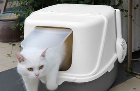乐优派猫砂盆放哪里比较好