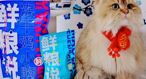鲜粮说体验：猫咪超爱！