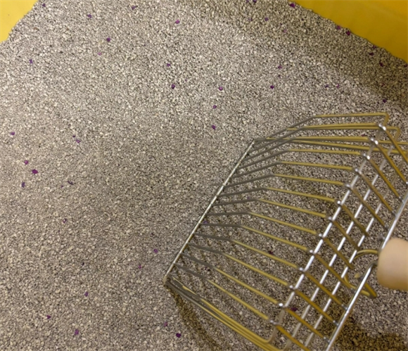 里兜猫砂：单猫家庭的真实使用体验