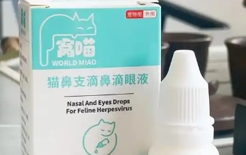 窝喵滴眼液幼猫可以用不
