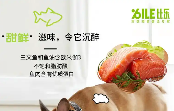 比乐狗粮属于什么档次？推荐2款
