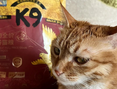 K9猫粮：为猫咪精心挑选的营养美味
