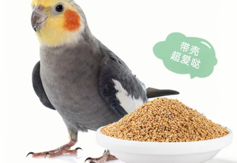 从粮仓到直播间 喜帅鸟粮如何俘获Z世代“云养鸟”群体? 从粮仓到直播间 喜帅鸟粮如何俘获Z世代“云养鸟”群体?