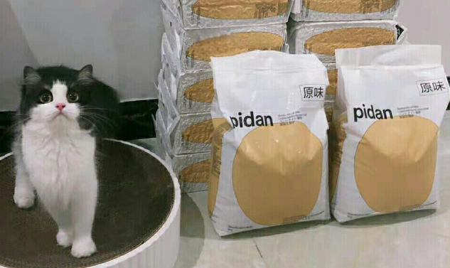 亚朵携手pidan，升级宠物友好服务再升级