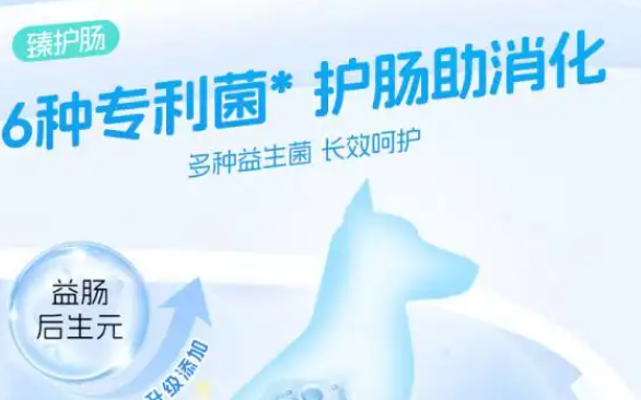 比乐狗粮和比瑞吉狗粮哪个好？深入解析