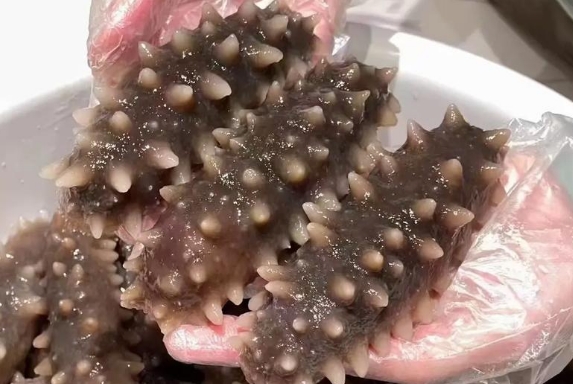 常吃海参对人体有哪些好处