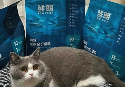 鲜朗猫粮真实体验分享! 鲜朗猫粮真实体验分享!