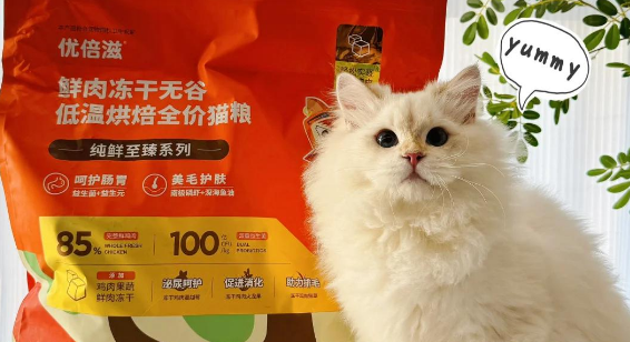 为爱猫精选:优倍滋猫粮的三大优势! 为爱猫精选:优倍滋猫粮的三大优势!