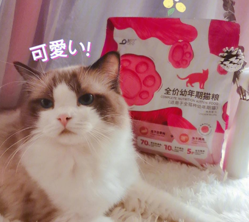 靓贝益生草本猫粮:夏日挑食猫咪的福音 靓贝益生草本猫粮:夏日挑食猫咪的福音