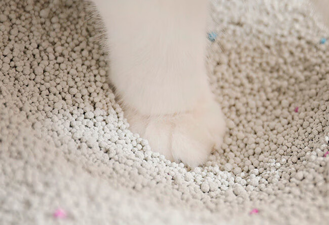 宠雾猫砂，轻松铲屎无遗漏