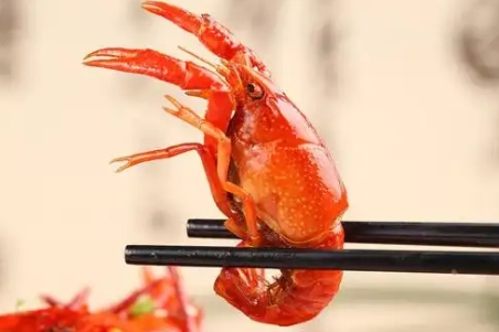 吃龙虾不会胖吗