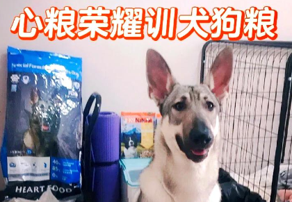 心粮狗粮，品质如何？