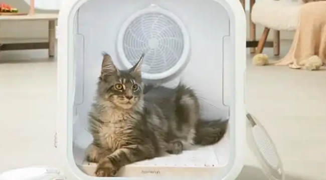 鸟语花香宠物烘干箱:猫咪烘干新选择 鸟语花香宠物烘干箱:猫咪烘干新选择