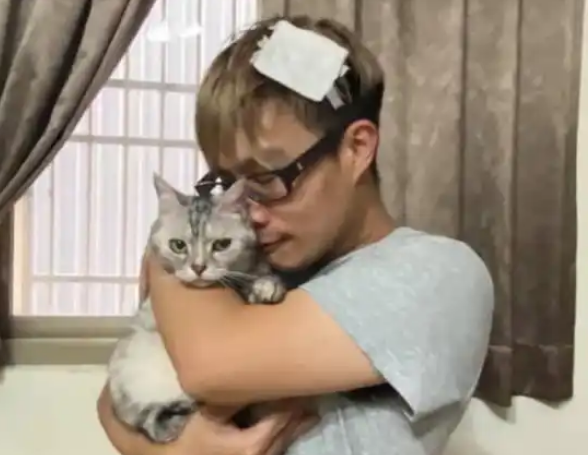 猫从窗户偷跑出去,主人心急如焚,找猫撞头也不在意 猫从窗户偷跑出去,主人心急如焚,找猫撞头也不在意