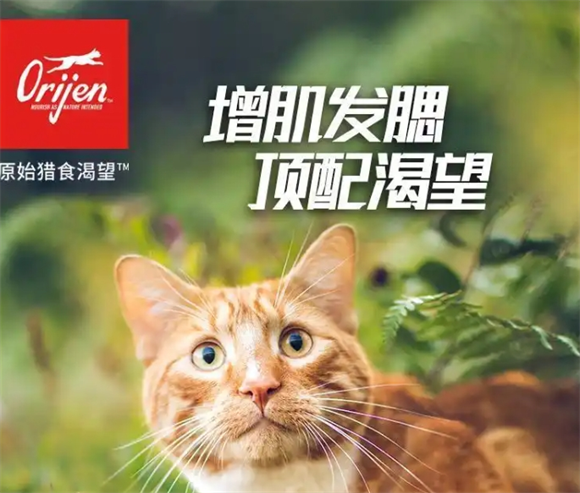 世界知名猫粮测评——原始猎食渴望 世界知名猫粮测评——原始猎食渴望