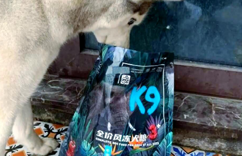 国产K9狗粮：昆虫蛋白助力狗狗健康！白助