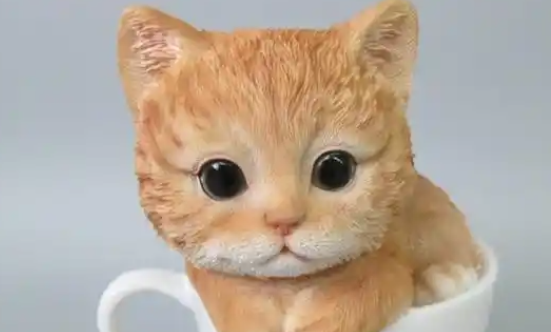世界上的最小的猫咪,茶杯猫 世界上的最小的猫咪,茶杯猫