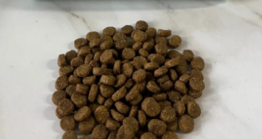 老年犬必备！荒野盛宴狗粮测评