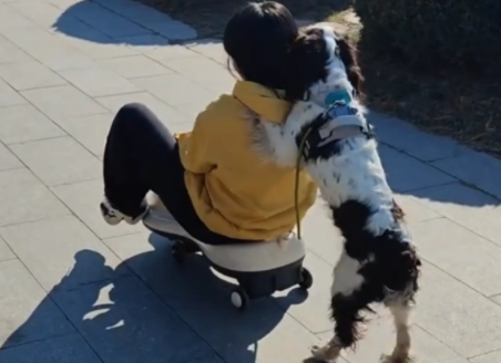 女子跟风买扭扭车让狗子拉自己,狗子却推着她往前走 女子跟风买扭扭车让狗子拉自己,狗子却推着她往前走