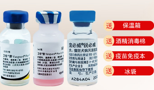 卫佳捌疫苗安全性再获认证：不良反应率低于0.3%