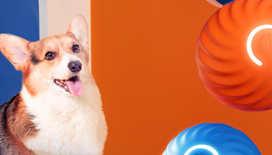 petgravity跳跳球多少钱 petgravity跳跳球多少钱