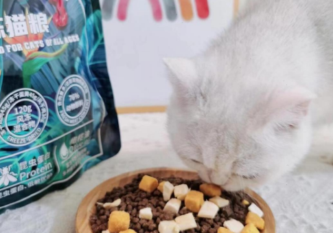 K9猫粮实测！泪痕拜拜