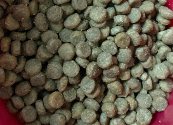 自然光环猫粮:品质与性价比的双重选择 自然光环猫粮:品质与性价比的双重选择
