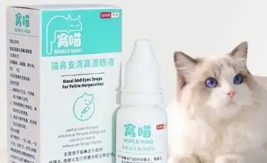 窝喵猫鼻支滴液怎么使用