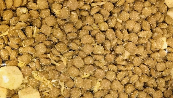 鲜粮说鸭肉梨冻干狗粮，狗子超爱！