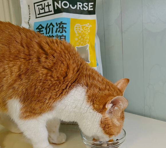 卫仕海陆盛宴让猫咪缠着你要的冻干! 卫仕海陆盛宴让猫咪缠着你要的冻干!