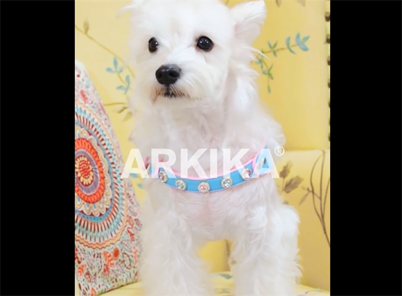 ARKIKA|欧式轻奢胸背带 ARKIKA|欧式轻奢胸背带