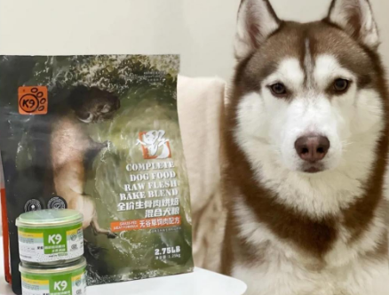 狗狗增肥秘籍：K9狗粮的真实体验分享