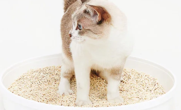 pidan猫砂怎么样?矿土豆腐混合砂,强效除臭更贴心 pidan猫砂怎么样?矿土豆腐混合砂,强效除臭更贴心