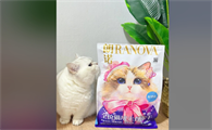 朗诺冻干:猫咪的味蕾新宠