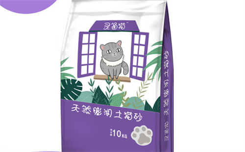 灵通猫