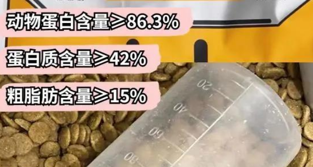 新手必看！宠率C42猫粮测评与挑选指南！