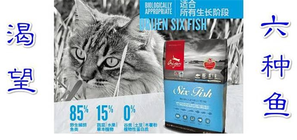 介绍原始猎食渴望六种鱼猫粮 介绍原始猎食渴望六种鱼猫粮