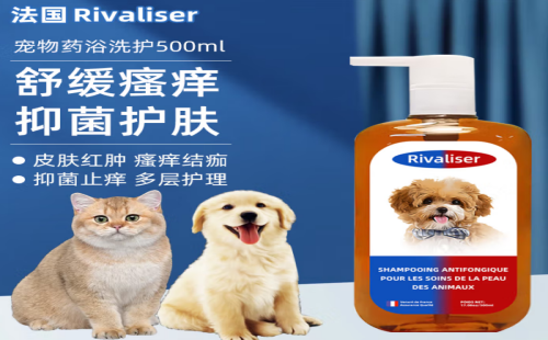 RIVALISER