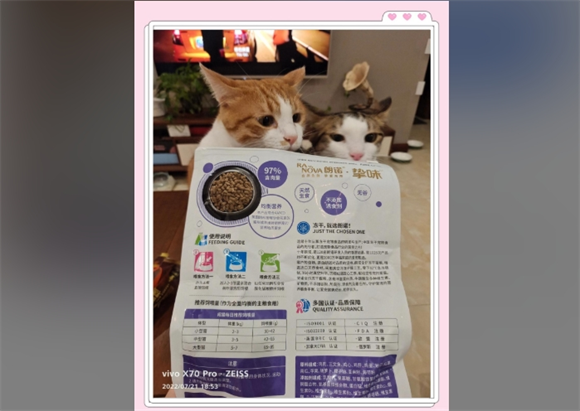挑食猫咪的福音!朗诺冻干大揭秘! 挑食猫咪的福音!朗诺冻干大揭秘!