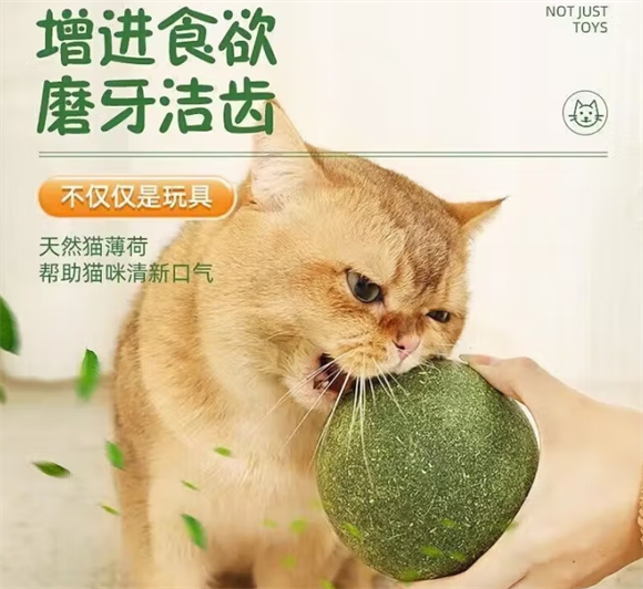 释放猫咪天性，卡瓦图猫薄荷球的自嗨魔法